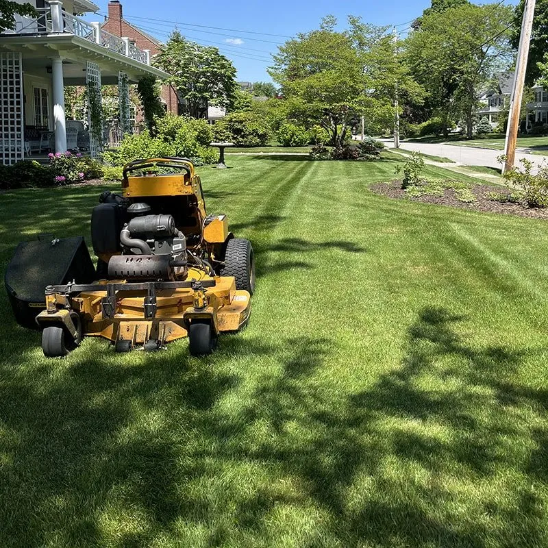 Discover Woburn's top-rated landscaping company in Woburn. Perennial Landscape offers expert design, installation, and maintenance services. Contact us for a free estimate today!