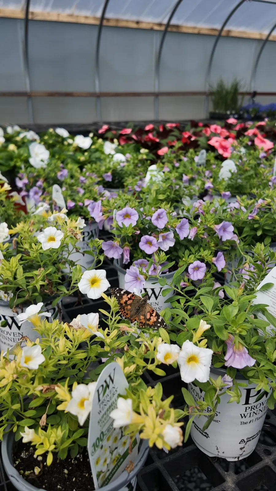work photo from eganlandscapegroup.com
