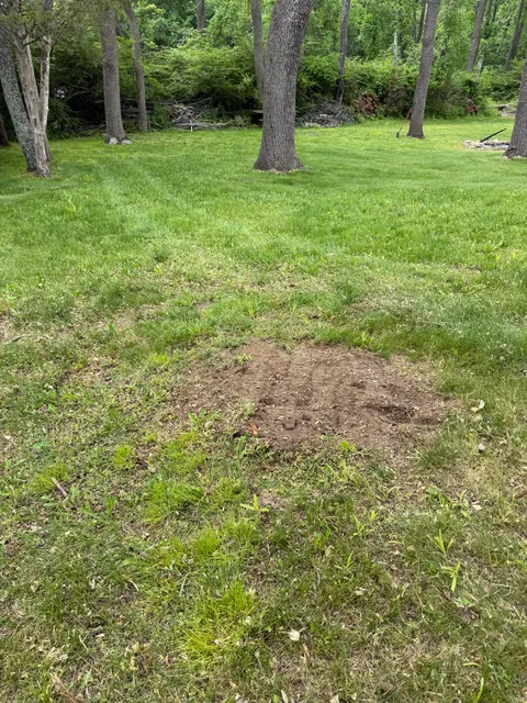 Tri-Son Stump Grinding researched project photo