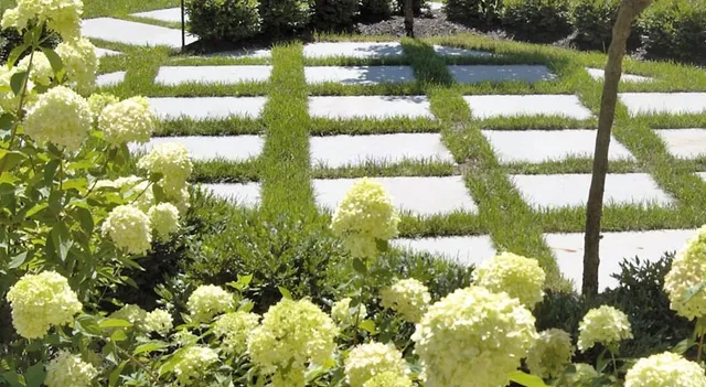 Landscape walkway with hydrangeas and lawn joints