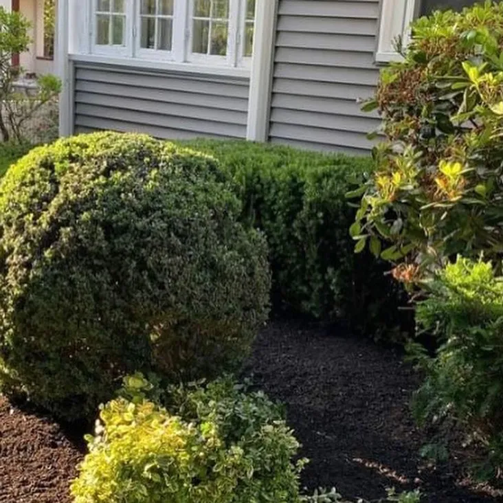 work photo from dinatalelandscaping.com