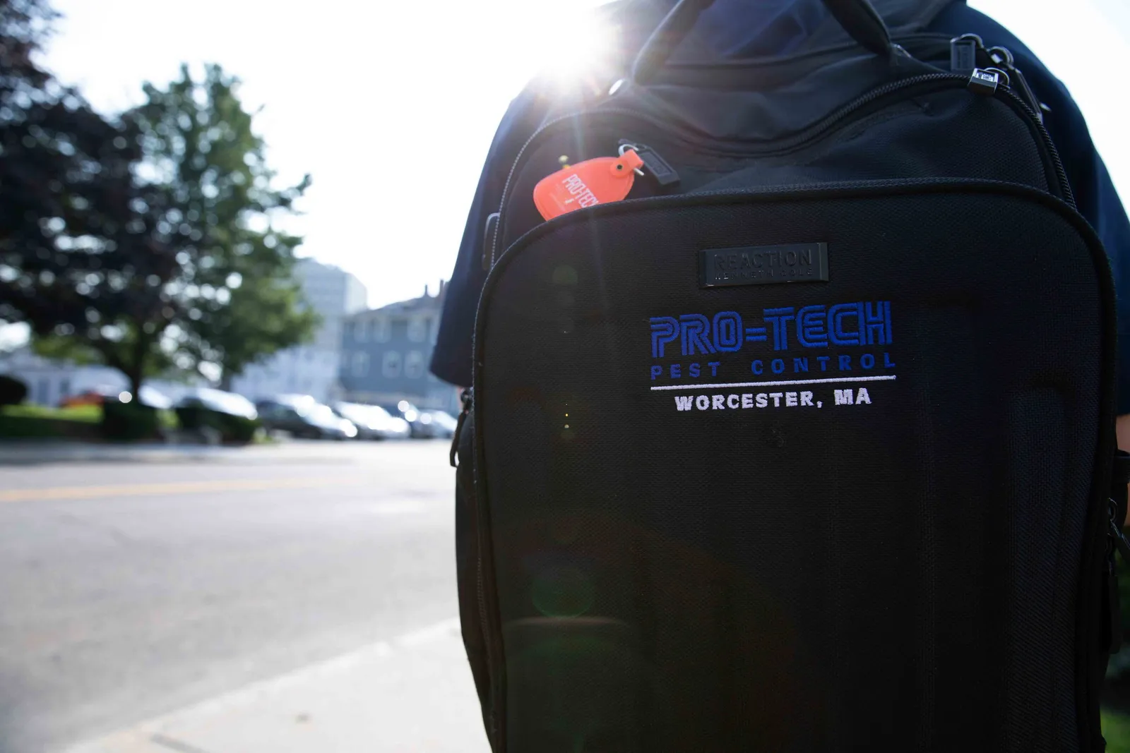 work photo from protechpestcontrol.com