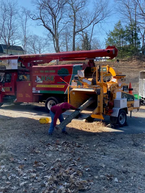 Jose Landscaping & Tree Removal researched project photo