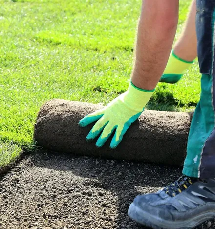 Lawn care service installing fresh sod grass on residential lawn