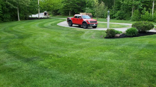 20190614_190541.jpg