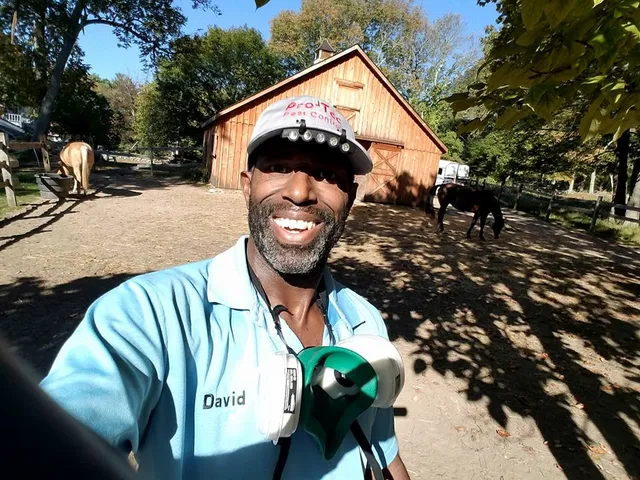 work photo from pro-tecexterminating.com