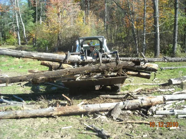 Tree Removal services 6