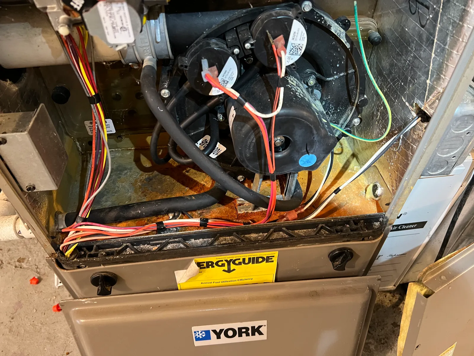 work photo from Google listing