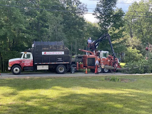Southern NH Tree and Landscape work photo