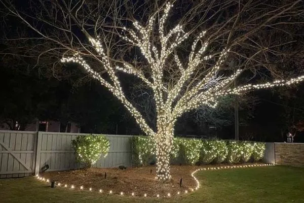 A tree adorned with warm white outdoor lighting dominates the scene, showcasing festive Christmas lighting. The lawn is edged with lights, enhancing the home's holiday ambiance.