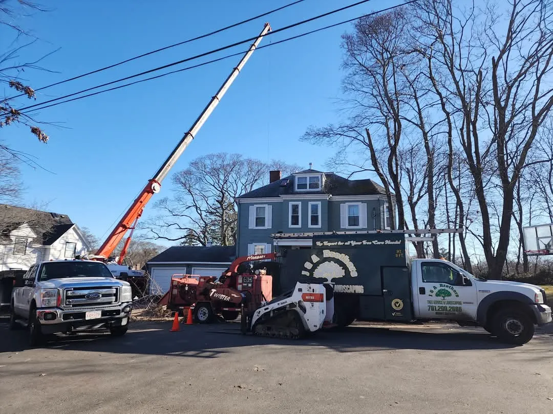 J&A Brothers Tree Service & Landscaping