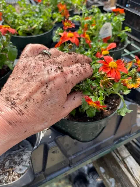 Hands On!