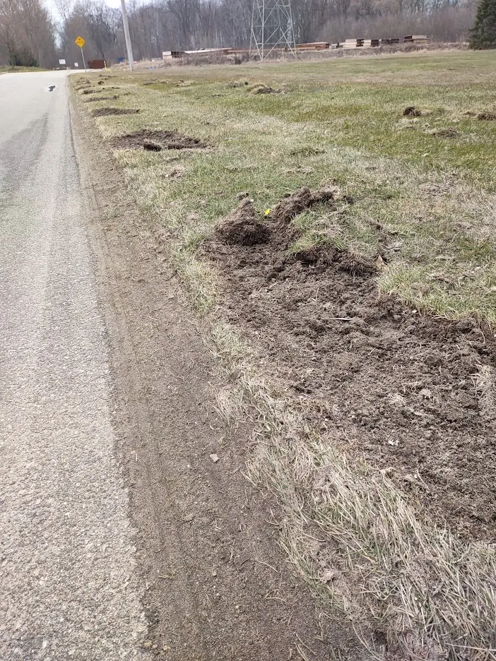 The SprinklerMan Irrigation & Construction LLC researched project photo
