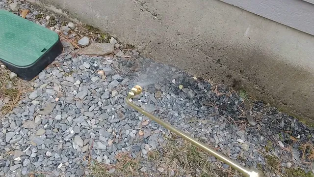 Pest Control Star work photo