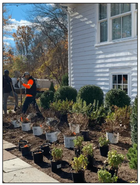 Landscaping
