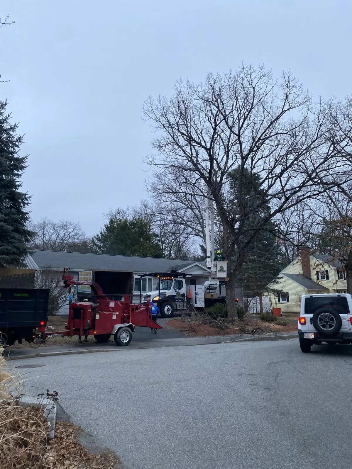 work photo from adantreeservices.com