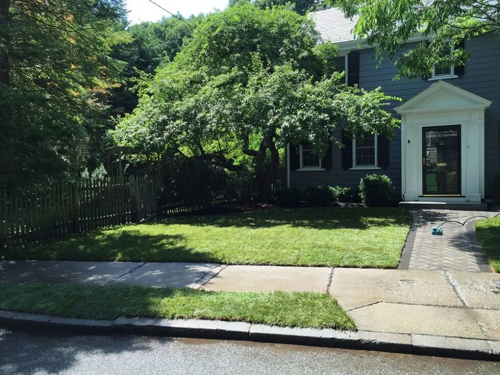 work photo from lawncareplusma.com