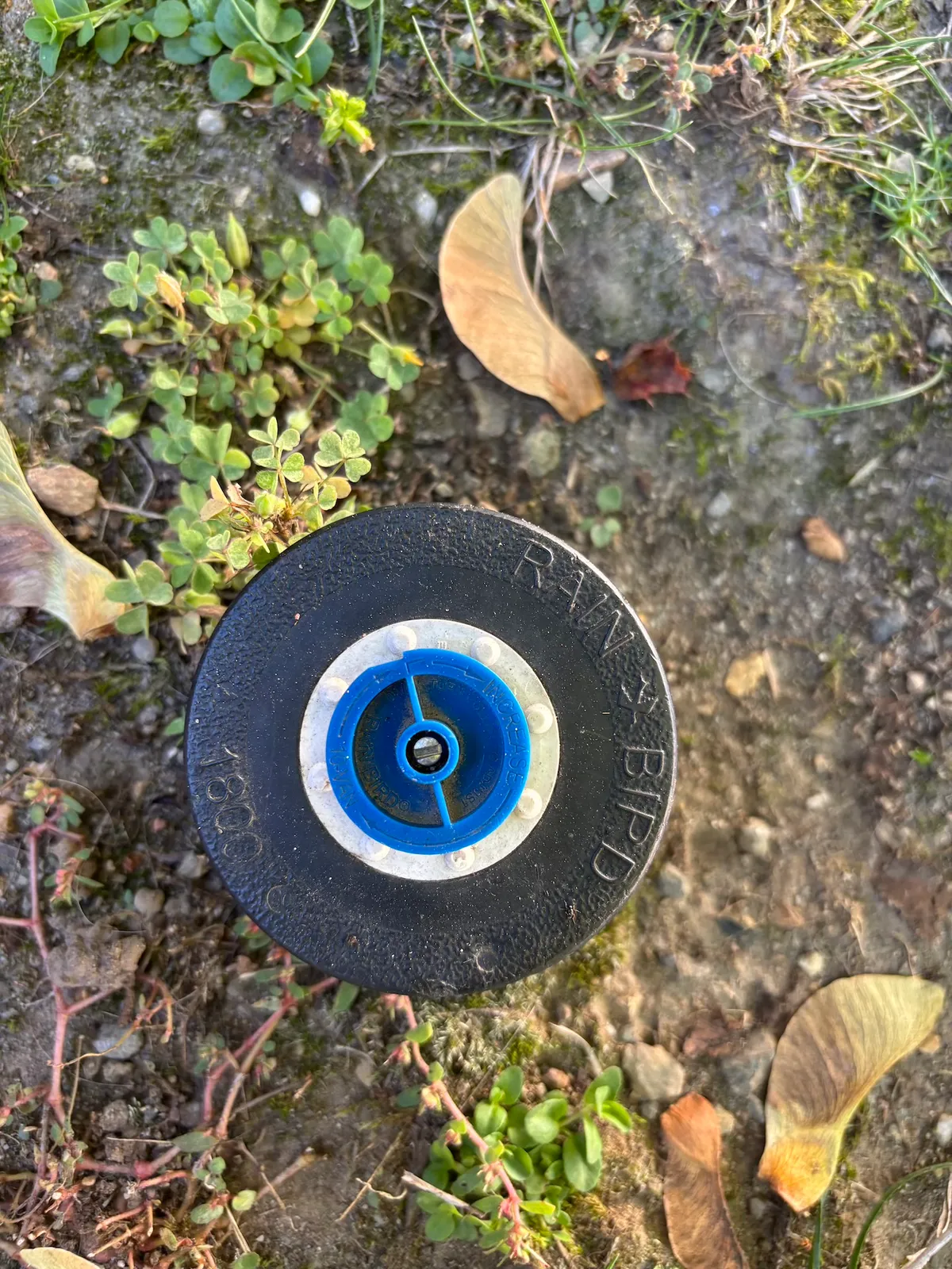 The SprinklerMan Irrigation & Construction LLC researched project photo