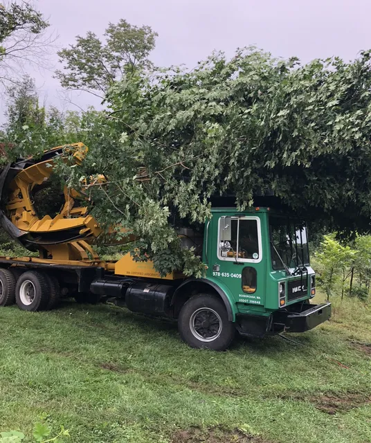 Acorn Tree & Landscaping inc. researched project photo
