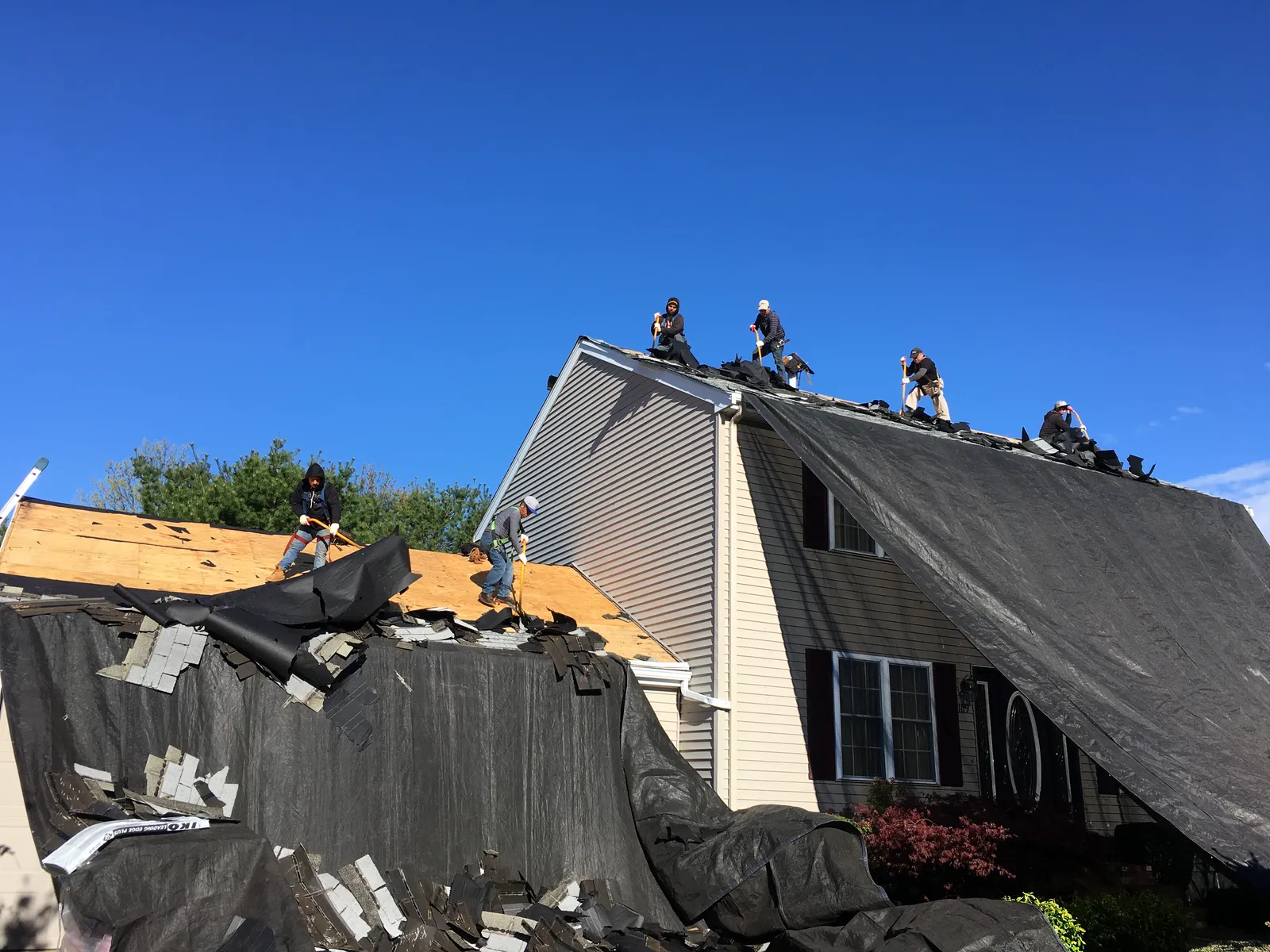 work photo from Google listing