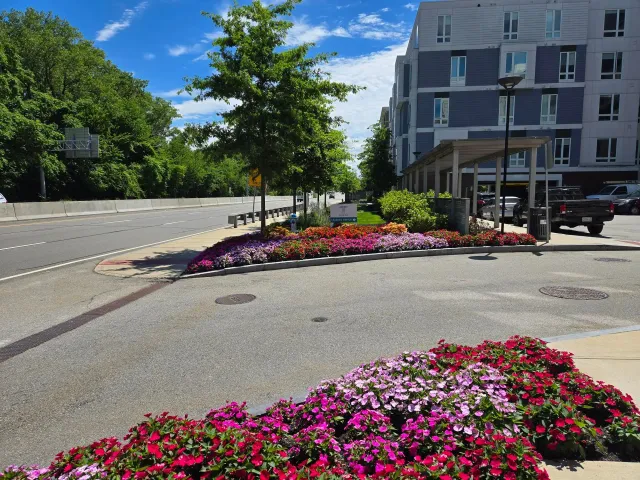 work photo from cunnifflandscape.com