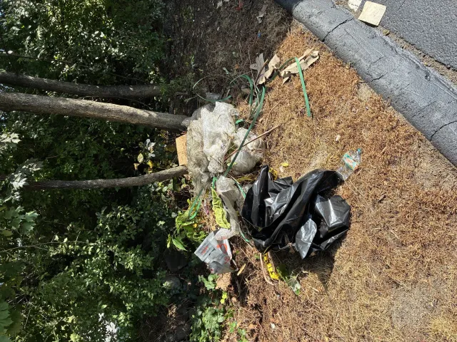 Curbside area before junk removal