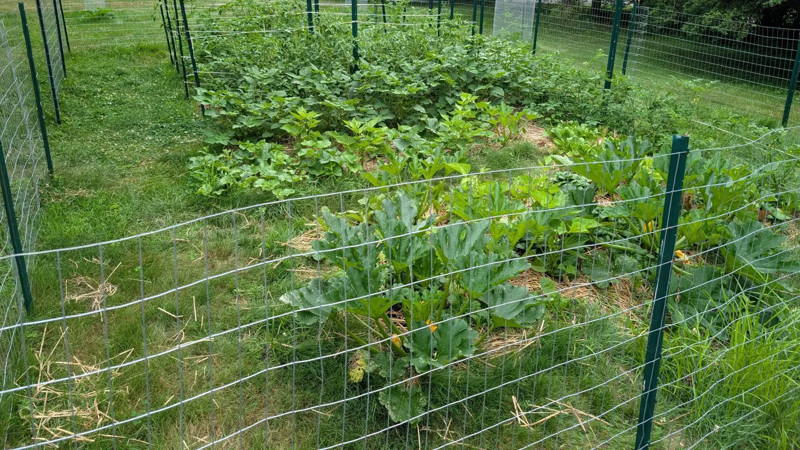 work photo from wildishgarden.co