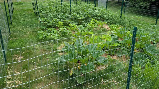 work photo from wildishgarden.co