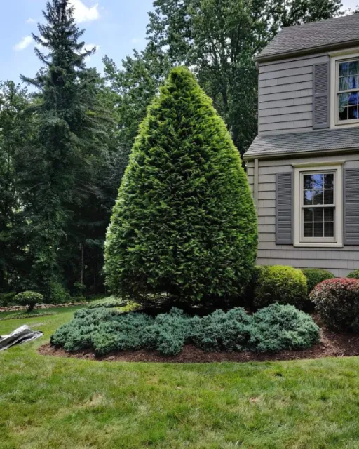 garden maintenance outside a house shelton ct