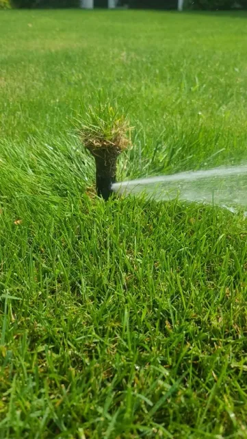 Irrigation head spraying on green grass.