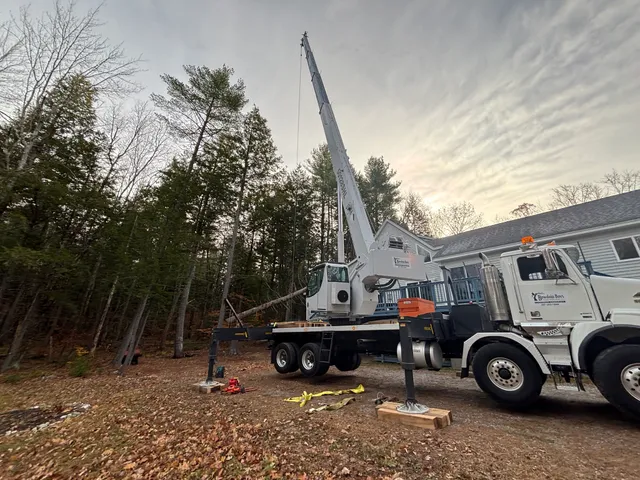 Bowdoin Boys Tree Service LLC work photo