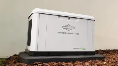 A white Briggs & Stratton home standby generator sits on a black mounting pad in a mulched garden bed.
