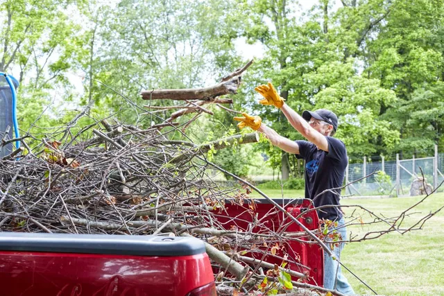 work photo from protreesolutionsllc.com