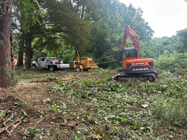 An excavator, wood chipper, and truck clearing debris in a wooded area.