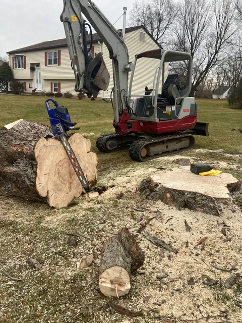 ET Tree Removal work photo