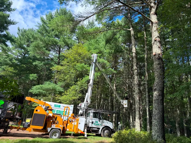 FRANK TREE SERVICES AND LANSCAPING INC. work photo