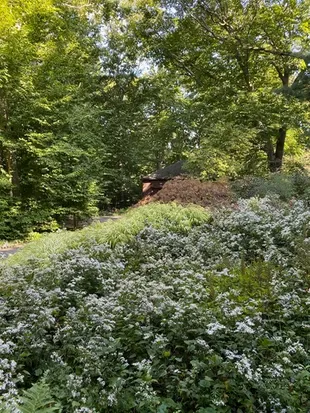 work photo from uncommongroundgardenservices.com