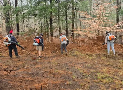 Seasonal Cleanups