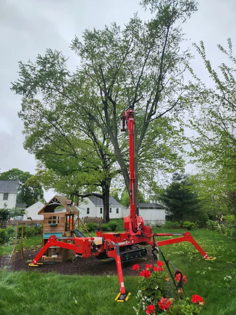 Optimus Tree Service and Landscaping work photo
