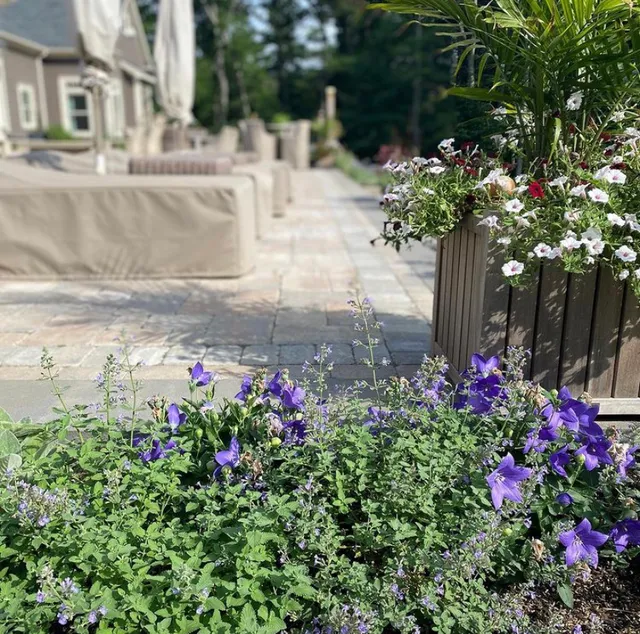 Northern landscape construction
