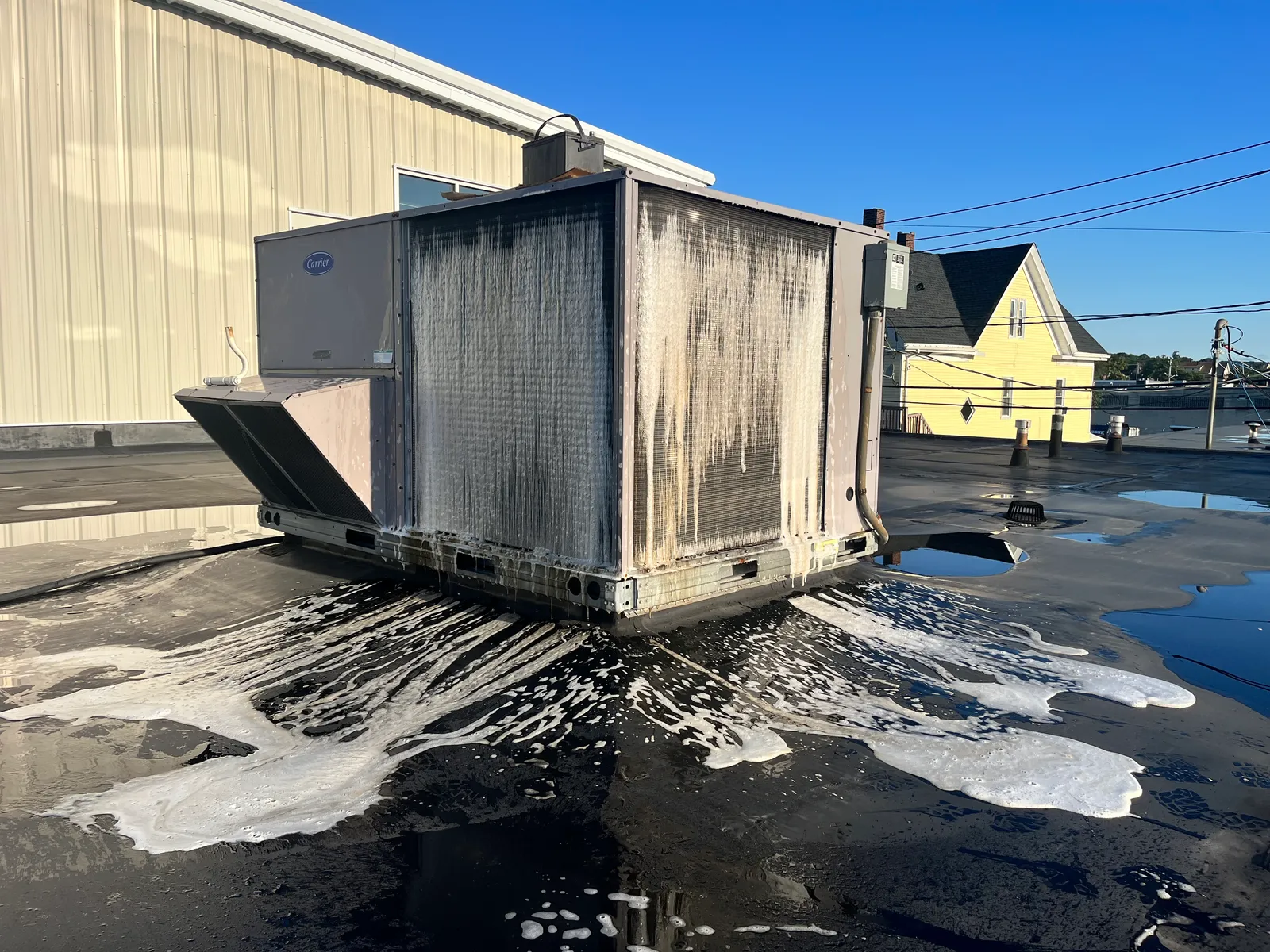 work photo from Google listing