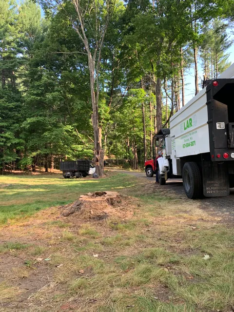 LAR landscaping and tree service, inc work photo