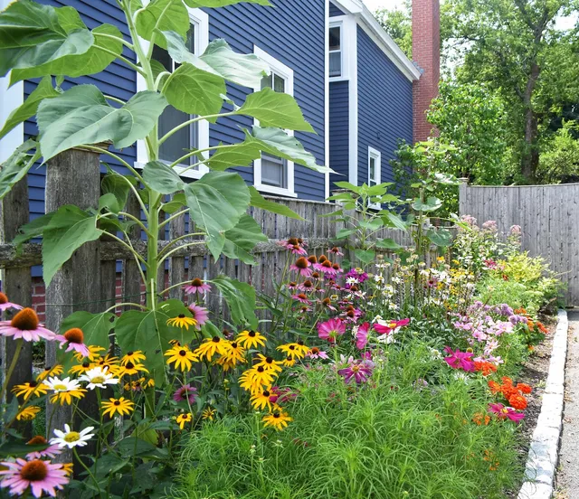 Fleurish work photo