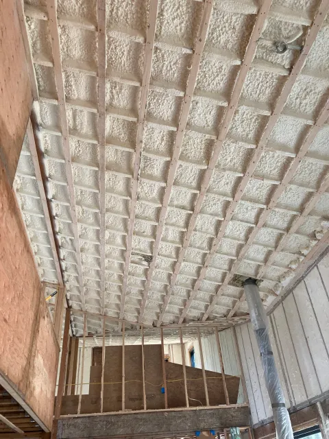 Spray-foam insulated roof assembly