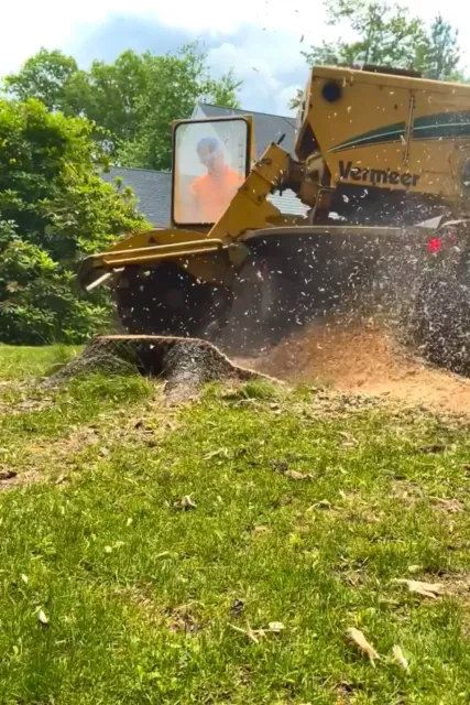 A person grinding a stump with a yellow Vermeer commercial lawn mower, seen through a slightly foggy or dirty protective window, with dust and wood chips flying up behind the grinder in a green yard with trees and a house in the background.