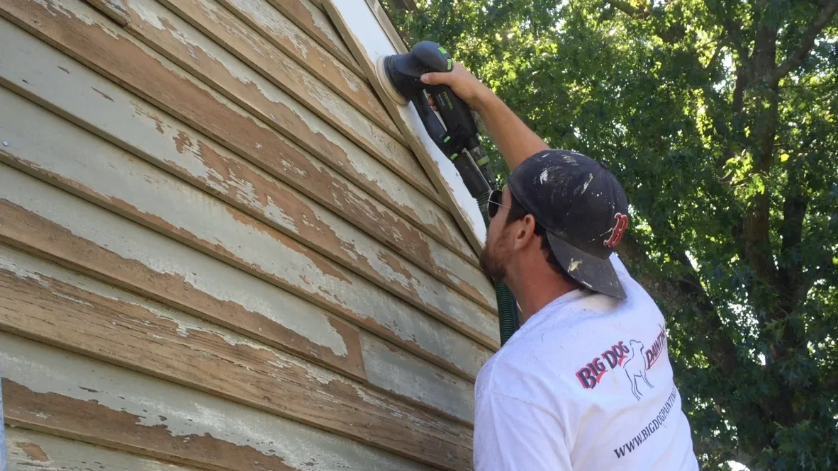 Big Dog Painting - Woburn Painters