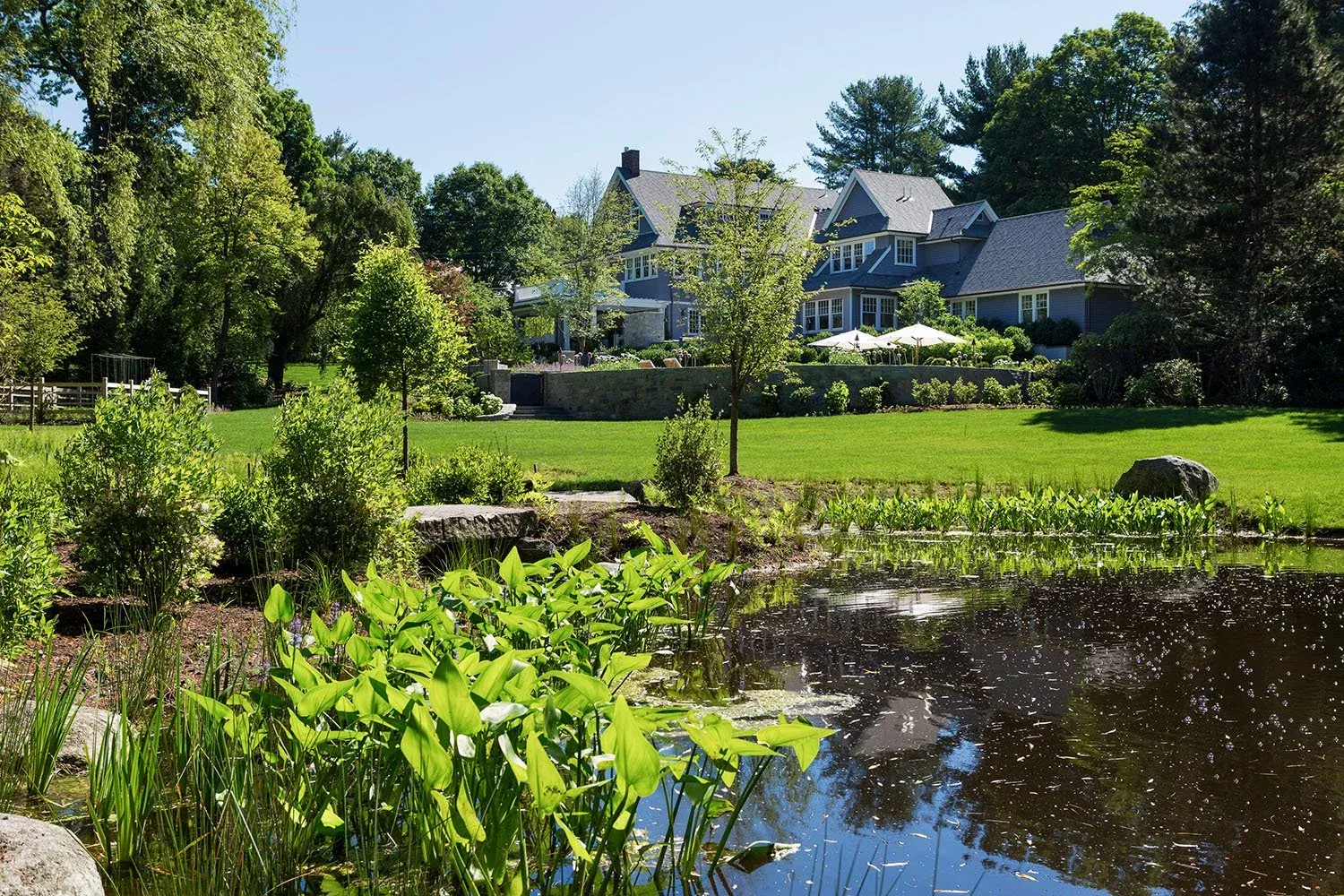 PONDS EDGE