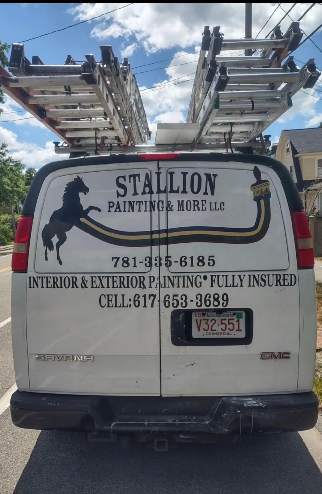 Stallion Painting and More