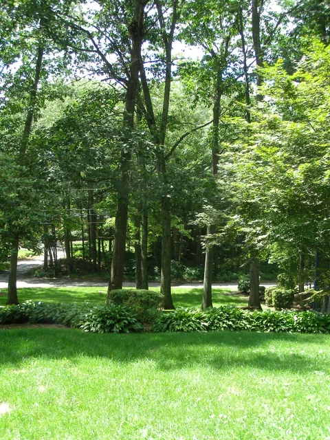 work photo from theprovidencegrasscompany.com