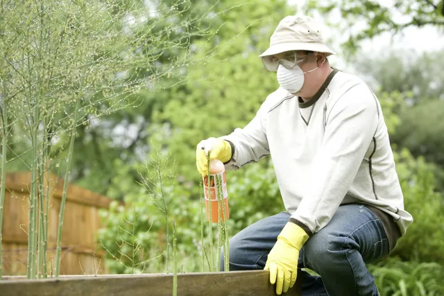 Trusted Exterminator in Rhode Island: Complete Pest Control Services for Homes and Businesses